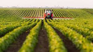AGRICULTURA Credite pentru Agricultori Printr-o Schema Propusă de Ministerul Agriculturii
