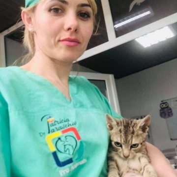 CAUTĂ DOCTOR VETERNINAR