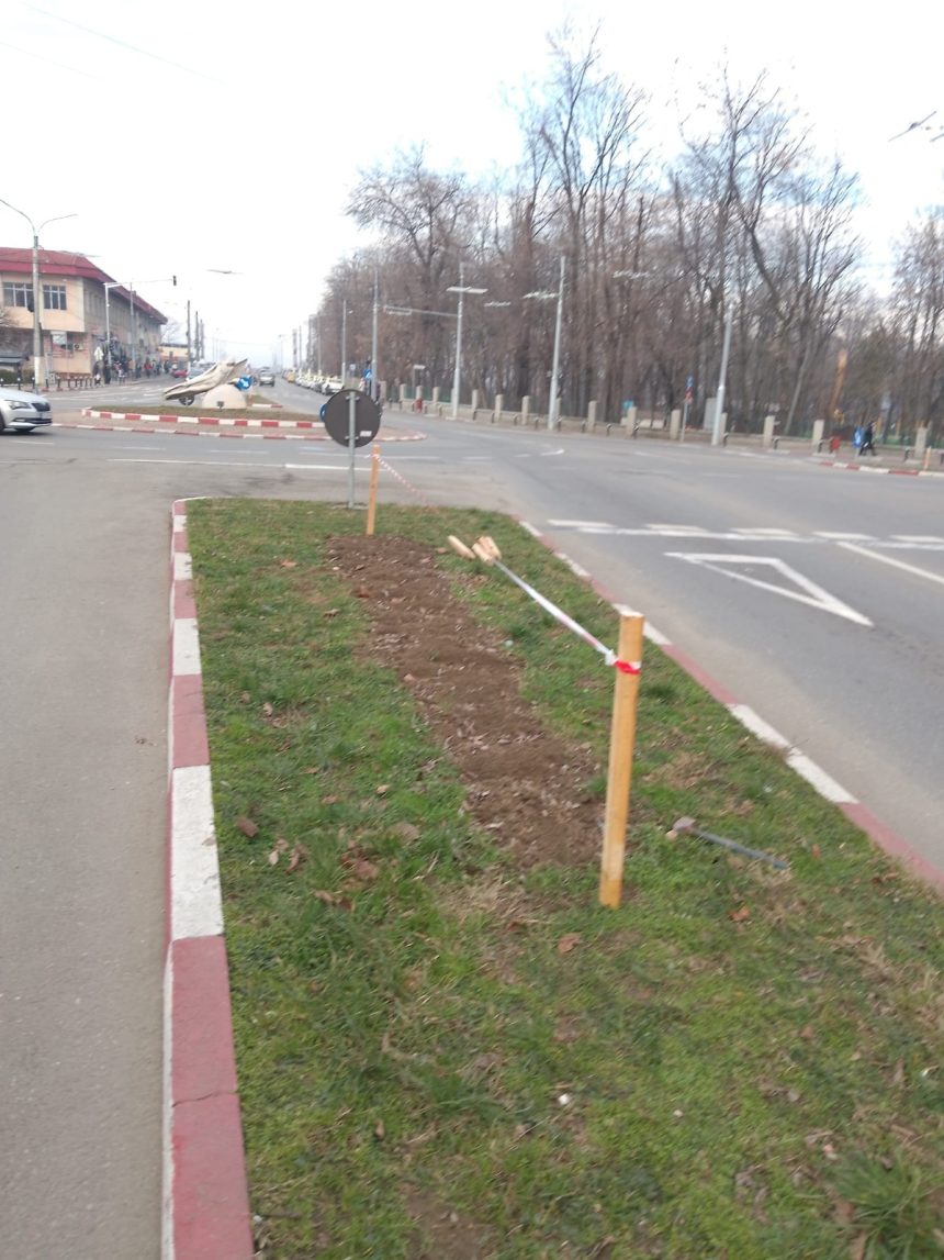 Târgujienii, rugați să nu calce pe spațiile verzi din Municipiu