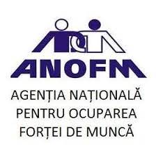ajofm Agenția Națională de Ocupare a Forței de Muncă ofera stimulente tinerilor care se angajează